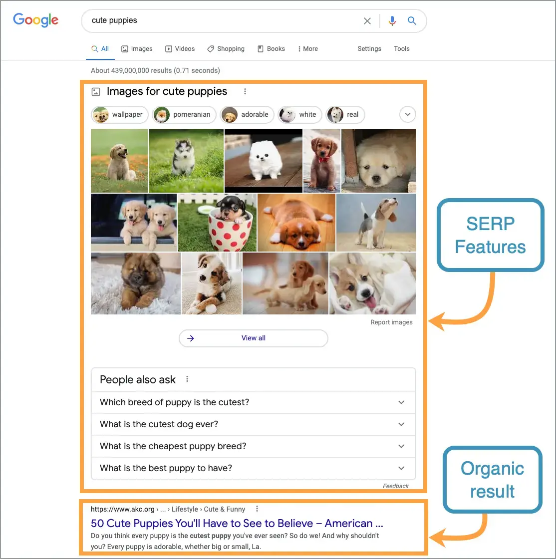 Enhanced SERP elements like featured snippets, carousels, and knowledge panels powered by AI.